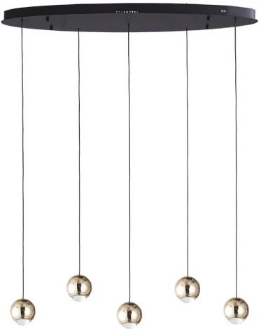 Подвесной светильник Lumien Hall Danay LH8027/5P-BK-SGD