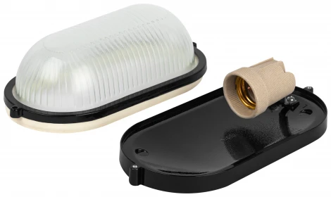 Настенно-потолочный светильник ЭРА НБП 04-60-001 в инд. упаковке НБП 04-60-001 черный