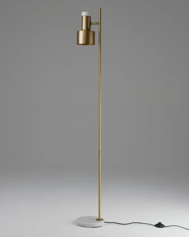 Торшер с выключателем Moderli Goldy V11311-1F (220V)