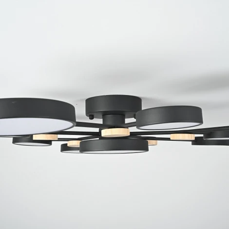 Потолочная люстра с пультом на штанге LED Lu Carte LC-11-1722