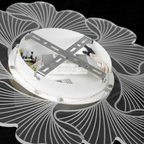 Потолочная люстра светодиодная Lussole Benton LSP-7340 (220V, круглые)