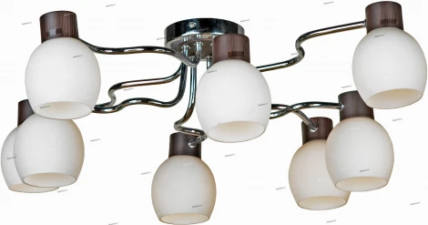 Потолочная люстра Lussole Carpino LSC-8503-08