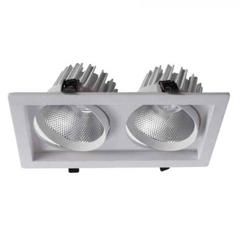 Встраиваемый точечный светильник Arte Lamp Privato A7018PL-2WH