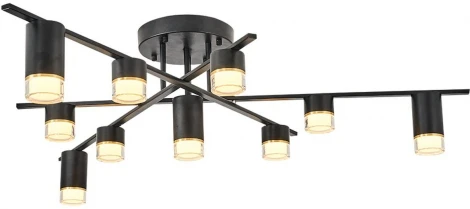 Потолочная люстра Alfa Light F3024-14 (LED, 220V)