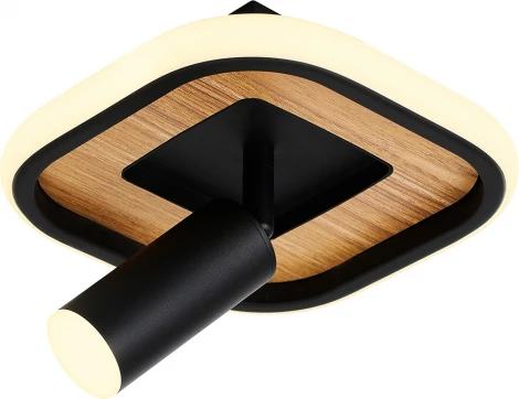 Спот потолочный F-Promo Olika 4439-1C (220V)