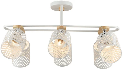 Потолочная люстра Wedo Light Sapri WD3607/6C-WT