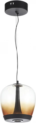 Подвесной светильник ST Luce Ripple SL6014.413.01 Черный/Коричневый, Черный LED 1*17W (220V, на тросе)