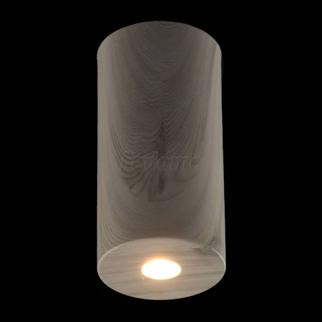 Потолочный светильник круглый DeMarkt Иланг 712010901 (LED, 220V)