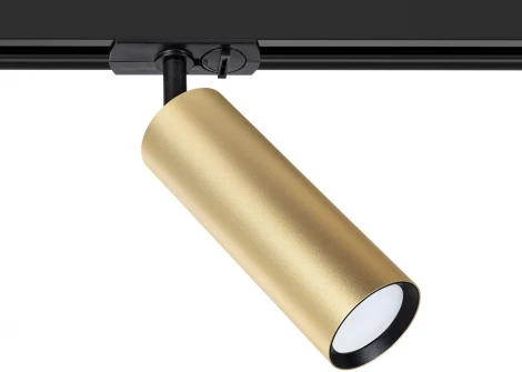 Светильники трековые однофазные Arte Lamp Beid A1515PL-1SG (220V, круглые)