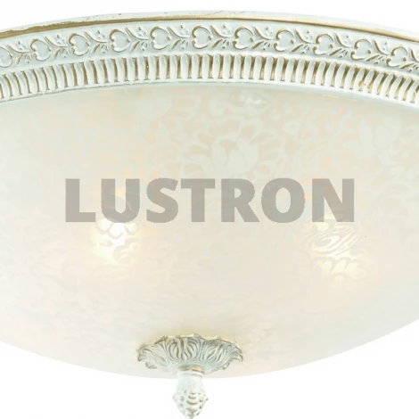 Потолочный светильник ST Luce SL135 SL135.502.04
