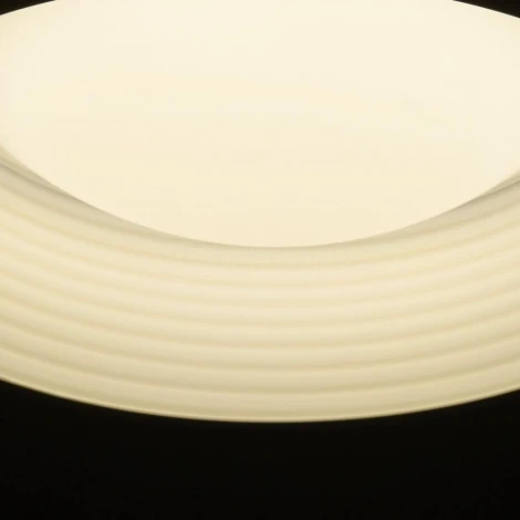 Потолочный светильник DeMarkt Ривз 674016701