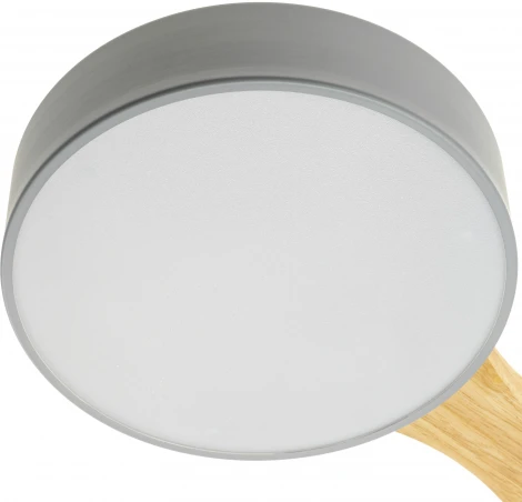 Потолочный светодиодный светильник Ritter Scandia 52070 2