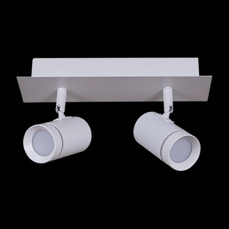 Встраиваемый спот светодиодный Reluce 84281-9.5-002RT LED2*5W WT (220V)