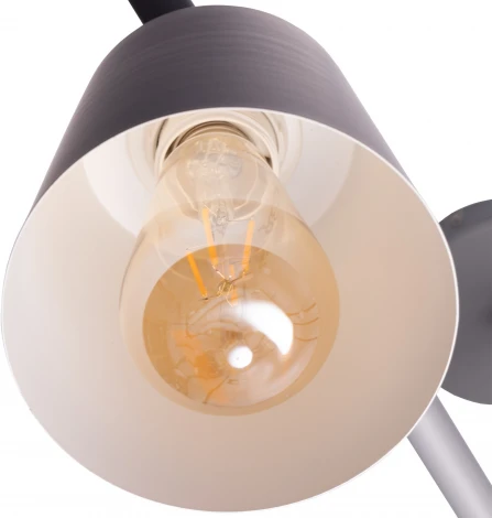 Потолочная люстра на штанге Ritter Volante 52444 1