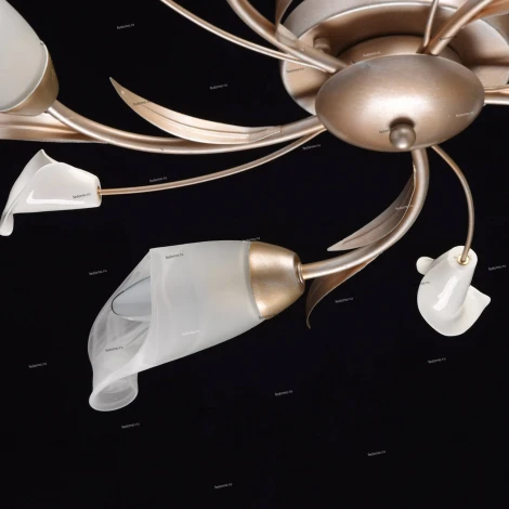 Потолочная люстра MW-Light Восторг 242016205