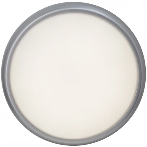 Настенно-потолочный светильник Brilliant Vigor G94131/11