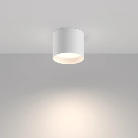 Потолочный светильник Nuvolt Bein LDL-005W