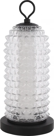 Настольная лампа ST Luce Saguaro SL6144.404.01 черный/прозрачный LED 1*12W 4000K (220V)