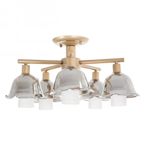 Потолочная люстра на штанге MyFar Lisa MR1481-5C (220V)