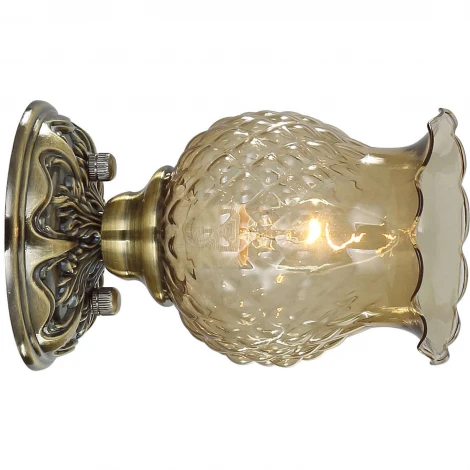 Потолочный светильник Favourite Parma 1386-1U