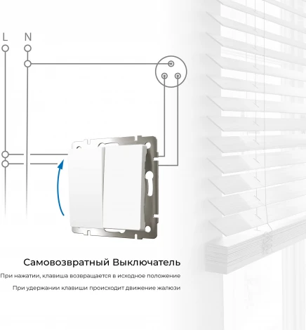 Выключатель двухклавишный с самовозвратом (белый) Werkel W1122401 (a062572)