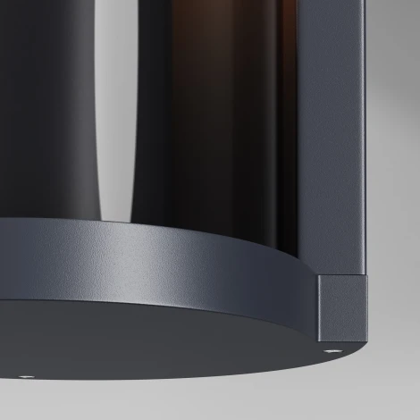 Настенный уличный светильник Maytoni Conf O451WL-01GF (220V, круглые, IP54)