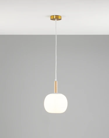 Подвесной светильник Moderli Cute V10290-PL (220V, на проводе)