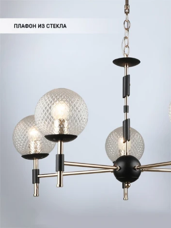 Подвесная люстра Wedo Light Kameliya WD3624/5H-FGD-BK-WT