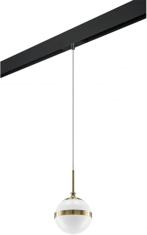 Трековый светильник однофазный 220V Lightstar Globo PRO813111 (шар)