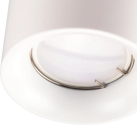 Накладной светильник Ritter Arton 59976 0