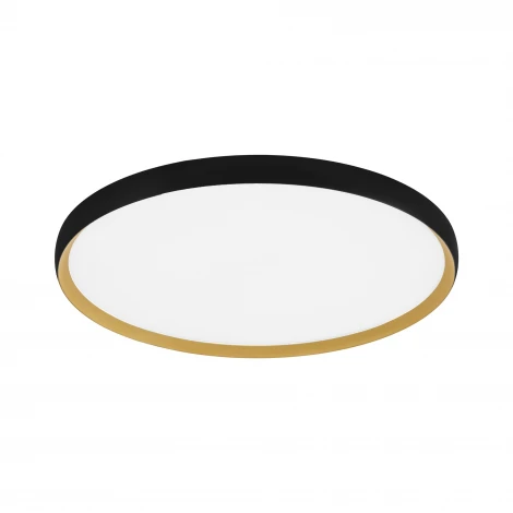 Потолочный светильник Evoluce Helst SLE1810-402-01 Черный, золотистый/белая LED 1*42W 4000K