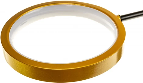 Потолочная люстра на штанге светодиодная Ritter Notte 51595 5