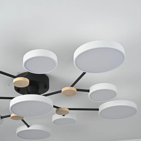 Потолочная люстра с пультом на штанге LED Lu Carte LC-11-1716