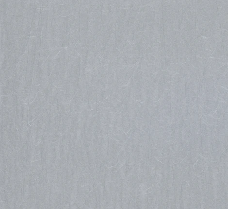 Рулонные обои Marburg Crush Motion 63416 10,05 х 0,70 м