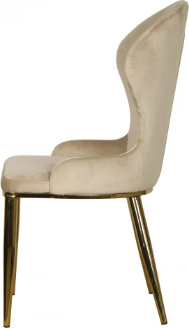 Стул обеденный IST-CASA Констанция TW-1163, бежевый/золото