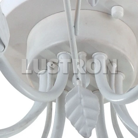 Потолочная люстра Arte Lamp Rosarium A1196PL-6WG
