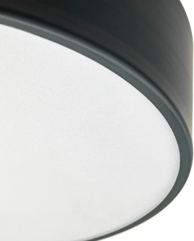 Потолочный светодиодный светильник Ritter Scandia 52070 2