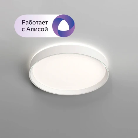 Потолочный светильник круглый Denkirs Plato DK6510-WH (регулировка яркости, LED, 220V, пульт управления, умный дом - Алиса, Smart Life, круглые)