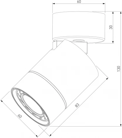 Спот Elektrostandard Niro 25013/01 GU10 черный (220V, круглые)
