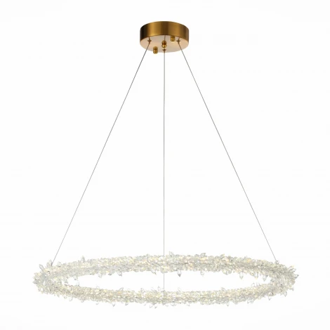 Подвесная люстра ST Luce Lucchero SL6105.213.01