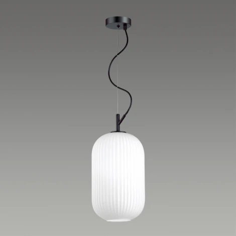 Подвесной светильник Odeon Light Roofi 4751/1 (220V, на тросе)