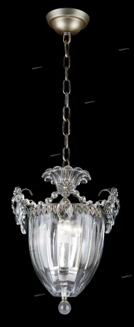 Подвесная люстра Osgona Schon 790031 (220V)