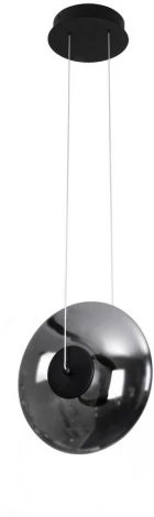 Подвесной светильник Aployt Maritt APL.063.16.18 (LED, 220V, на проводе, круглые)