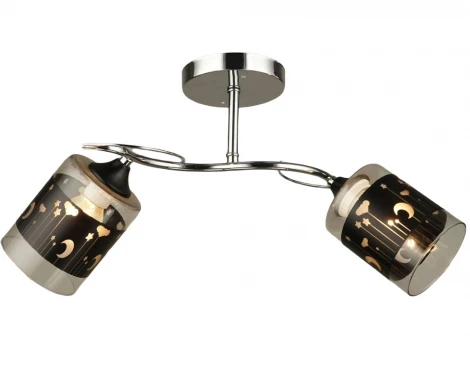 Потолочная люстра на штанге Мелодия Света SS1N 000029895