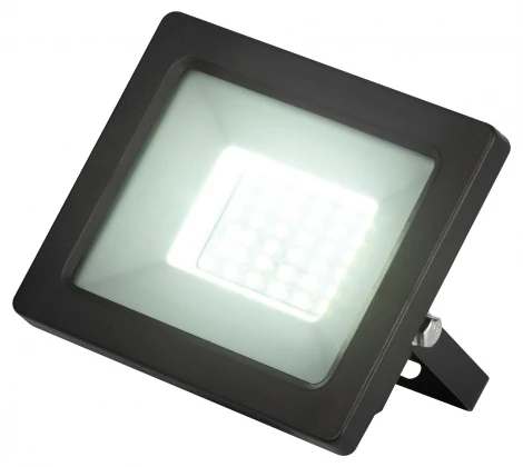 Прожектор уличный светодиодный с датчиком освещенности ЭРА LPR-04 LPR-042-3-65K-030