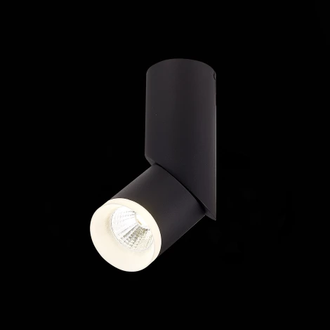Накладной точечный светильник ST Luce Tortelle ST107.442.10