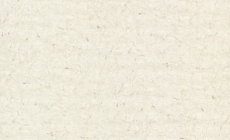 Обои виниловые Marburg Vintage Deluxe 32852 10,05 x 1,06 м