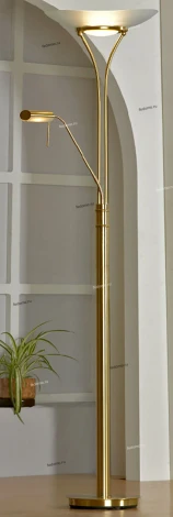 Торшер Lussole Comfort LSN-7745-02