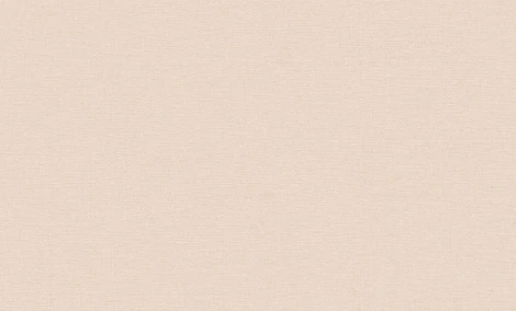 Обои виниловые Erismann Jacklin 60112-07 10,05 x 1,06 м