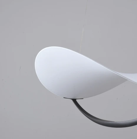 Подвесной светильник Zortes Quincy ZRS.1585.13